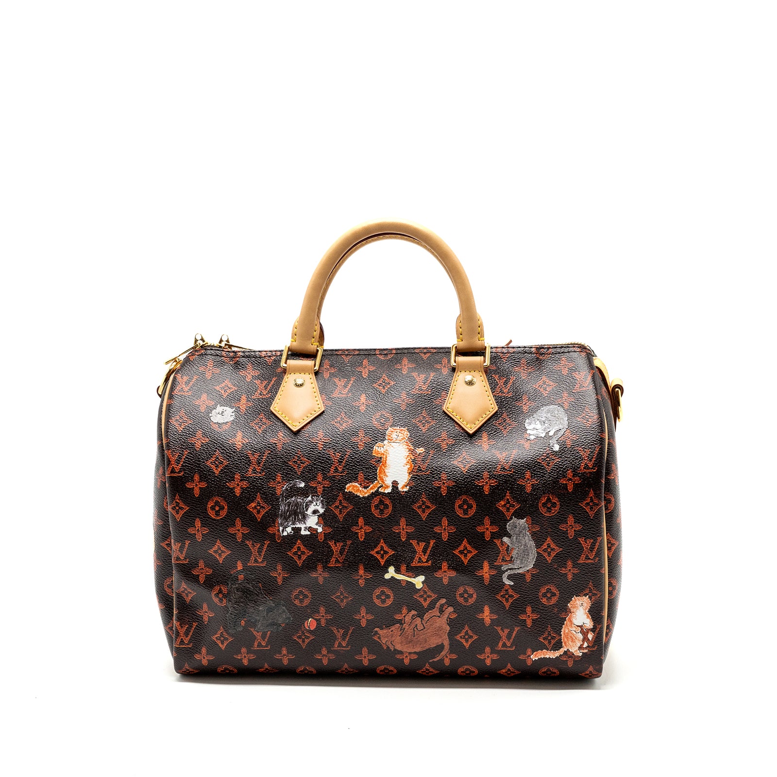 Louis Vuitton Speedy Bandouliere 30 Catogram Limited Edition Canvas GH