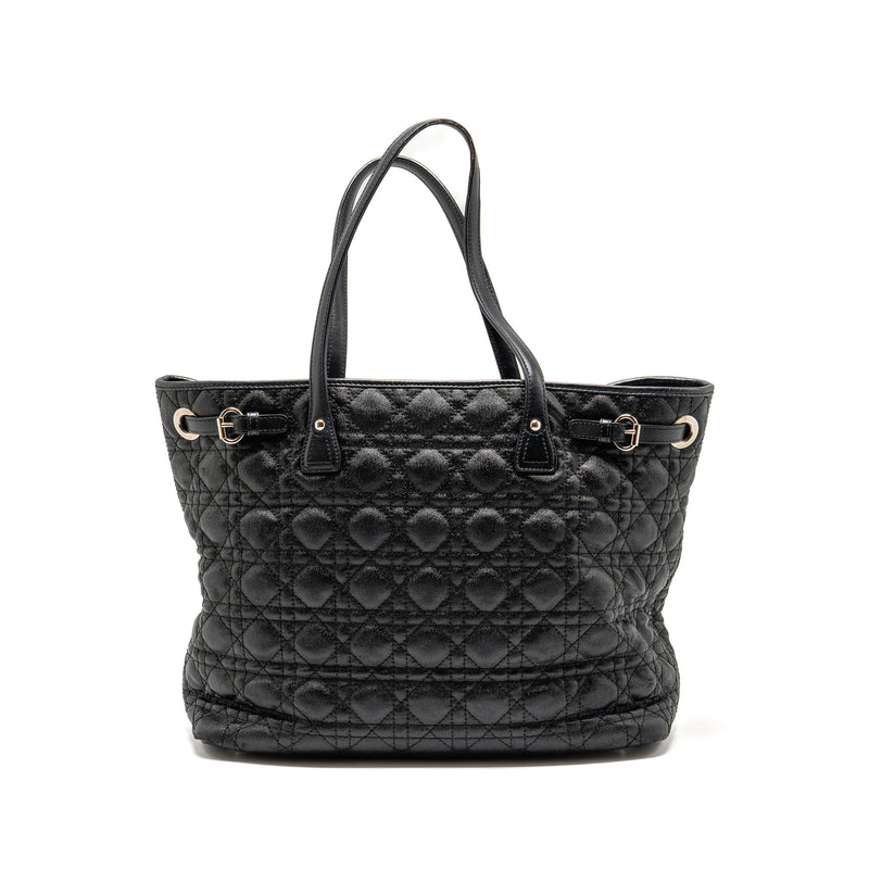 Dior Shopping Tote Bag Canvas Black SHW