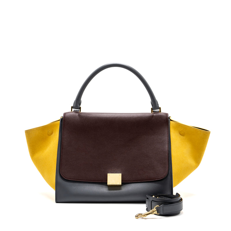 Celine Trapeze Bag Multicoloured GHW