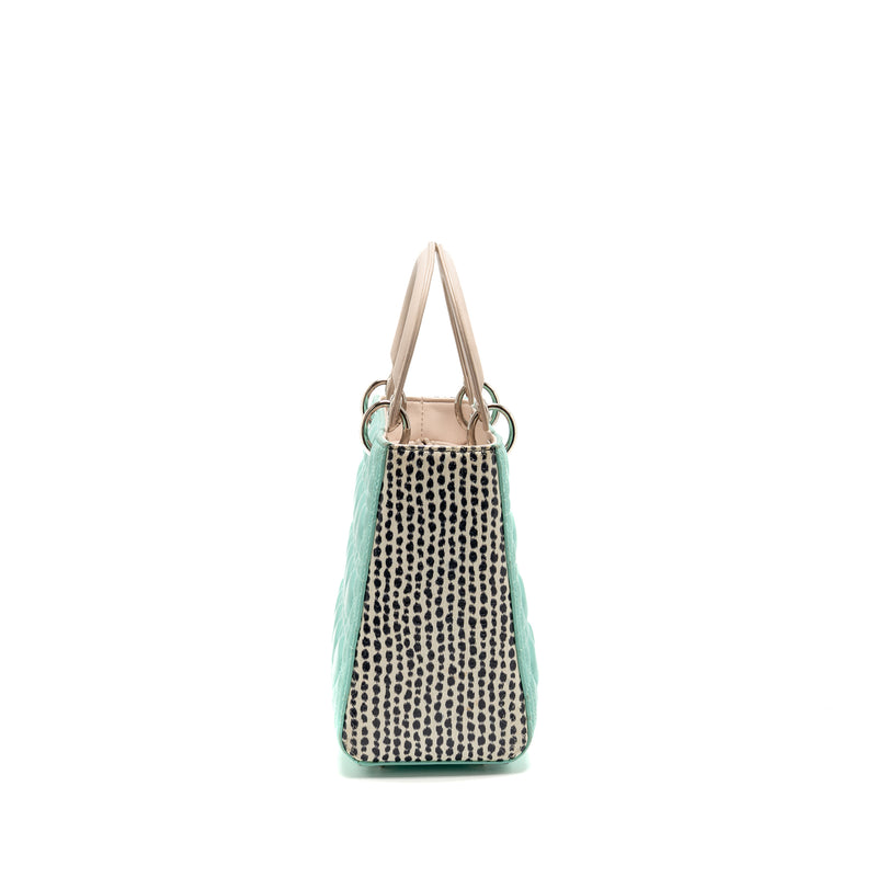 Dior Medium Lady Dior Lambskin/Python Multicolour SHW