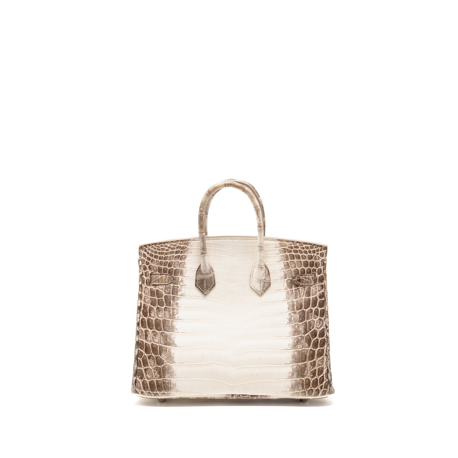 Hermes Birkin 25 Crocodile Niloticus Himalaya 01 Blanc SHW Stamp Y