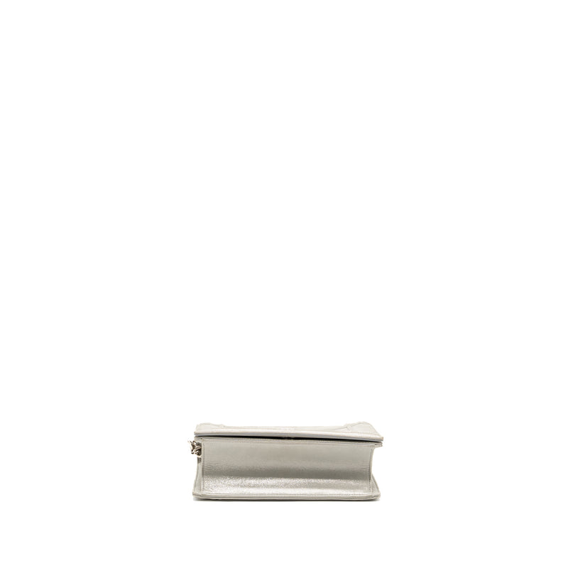 Dior small diorama leather iridescent Pearl grey SHW