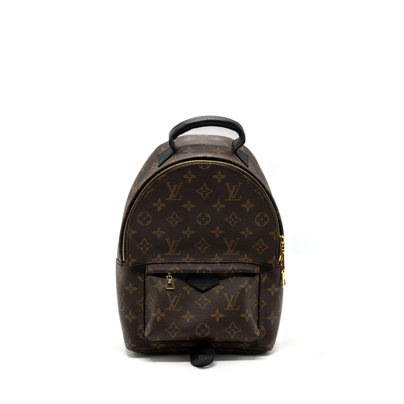 Louis Vuitton Palm Springs Backpack PM in Monogram