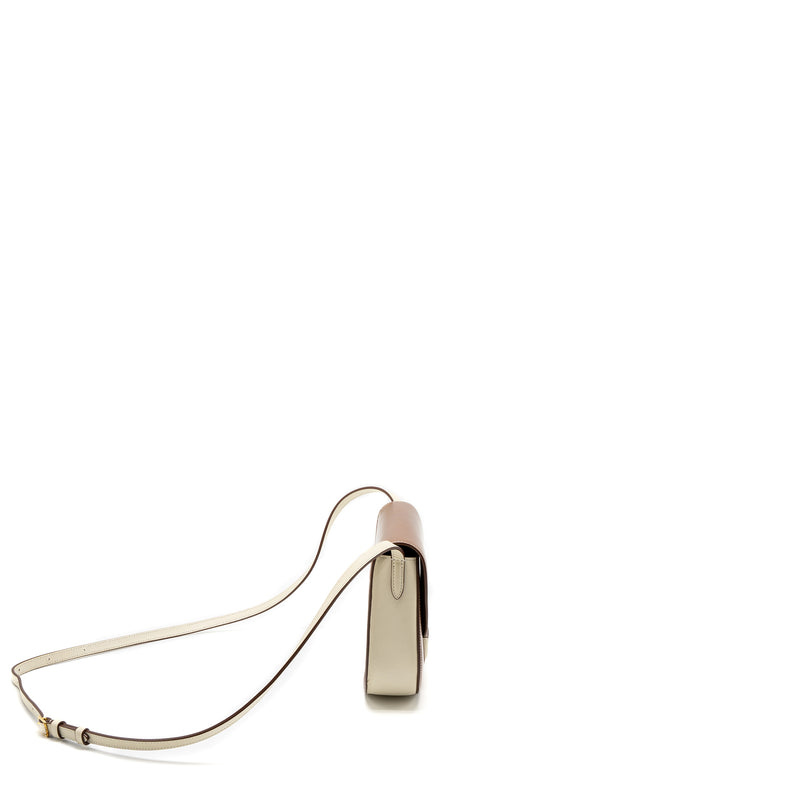 Celine Small Trotteur Bag Calfskin Brown/Multicolour GHW