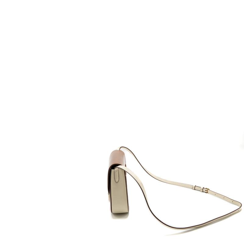 Celine Small Trotteur Bag Calfskin Brown/Multicolour GHW