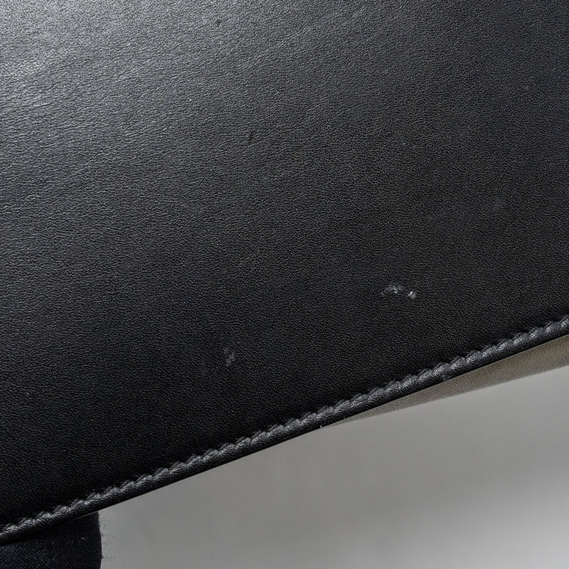 Celine micro luggage calfskin / suede leather multicolour GHW