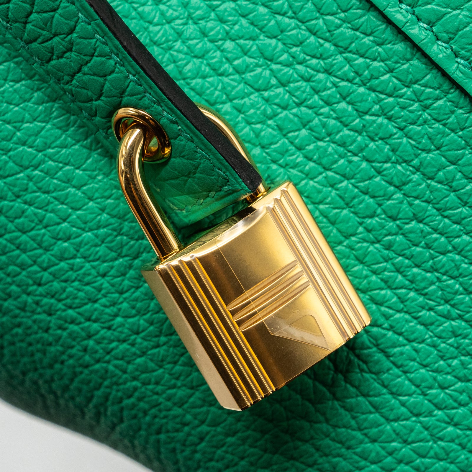 DSC00520_8778366e-f8a3-4418-