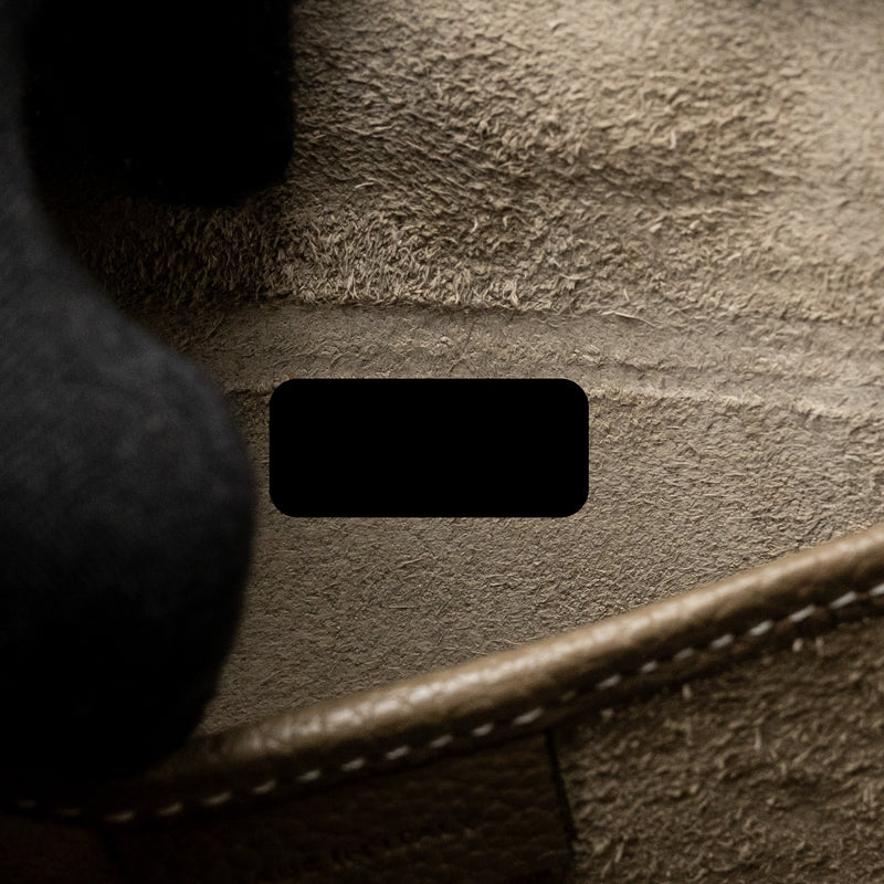 Celine Nano Luggage bag calfskin grey SHW