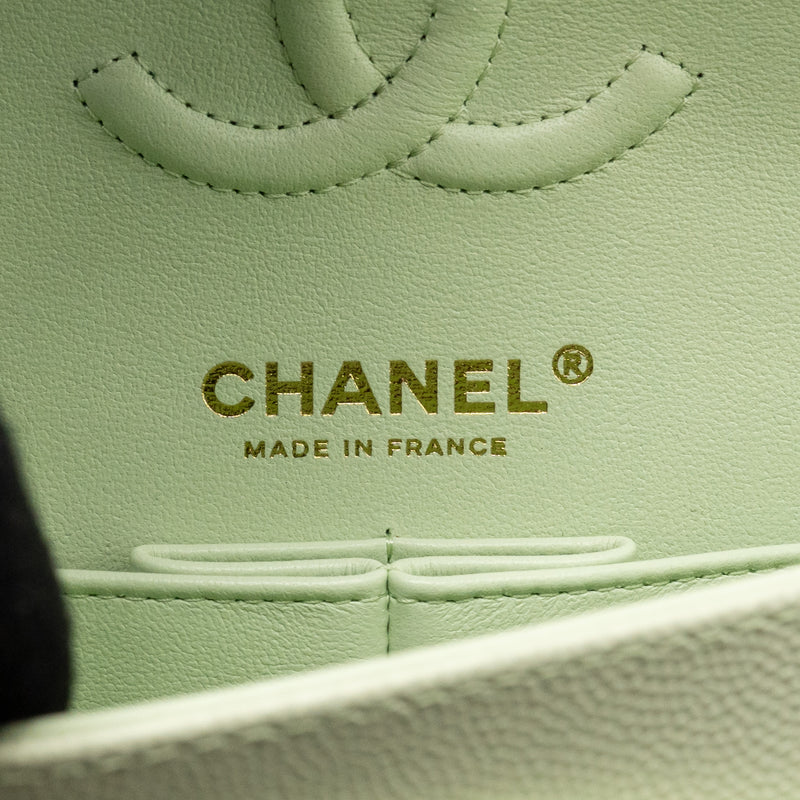 Chanel Small Classic Double Flap Bag Caviar Light Green LGHW (Microchip)