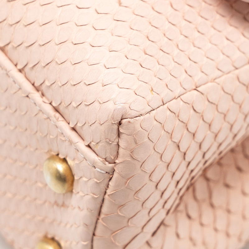 Chanel Small Coco Handle Python Light Pink GHW