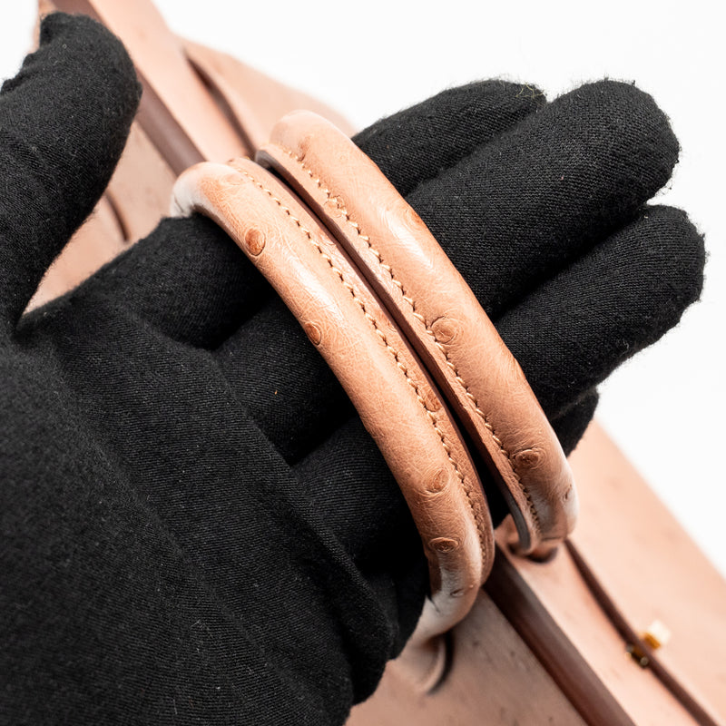 Hermes birkin 25 ostrich 94 Terre cutie GHW stamp B