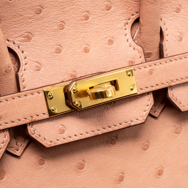 Hermes birkin 25 ostrich 94 Terre cutie GHW stamp B