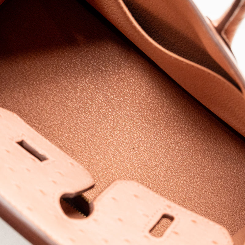 Hermes birkin 25 ostrich 94 Terre cutie GHW stamp B