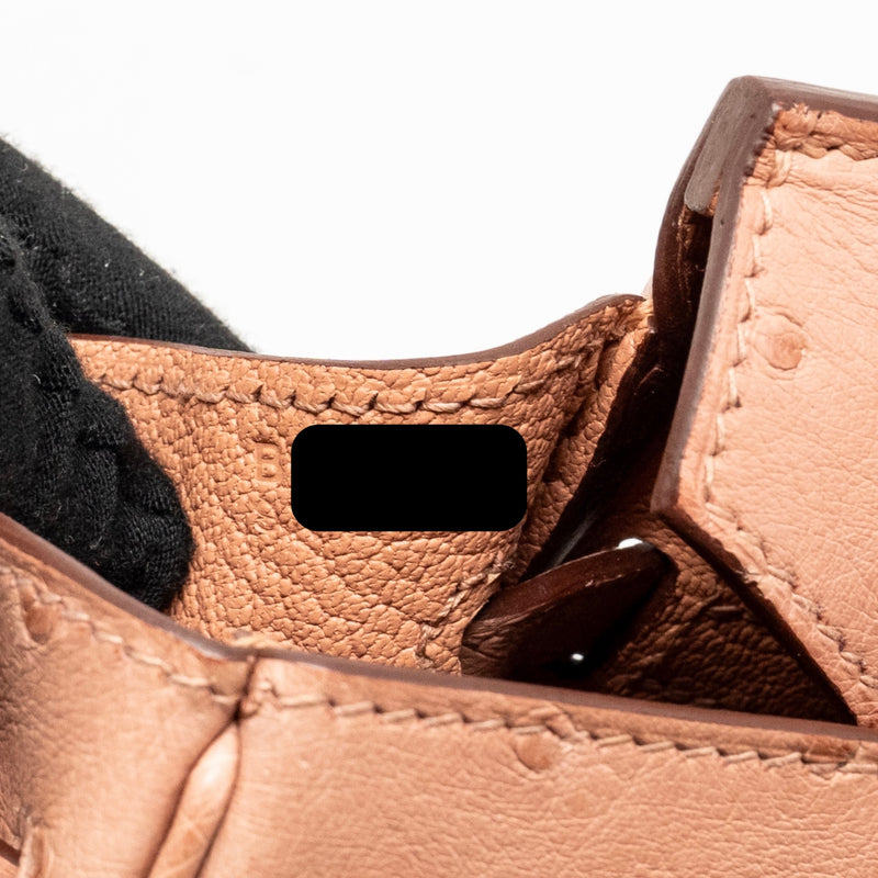 Hermes birkin 25 ostrich 94 Terre cutie GHW stamp B