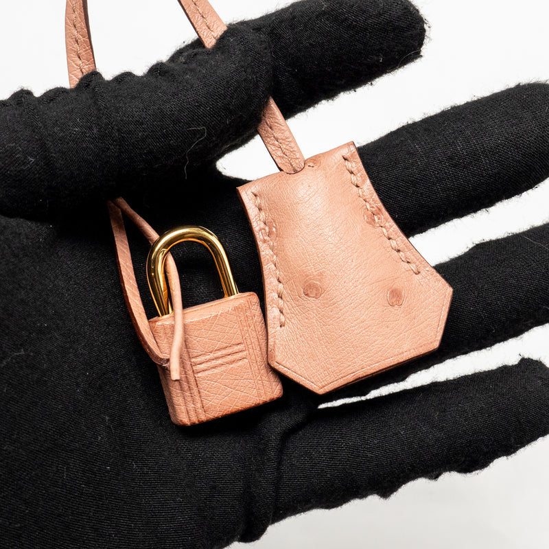 Hermes birkin 25 ostrich 94 Terre cutie GHW stamp B