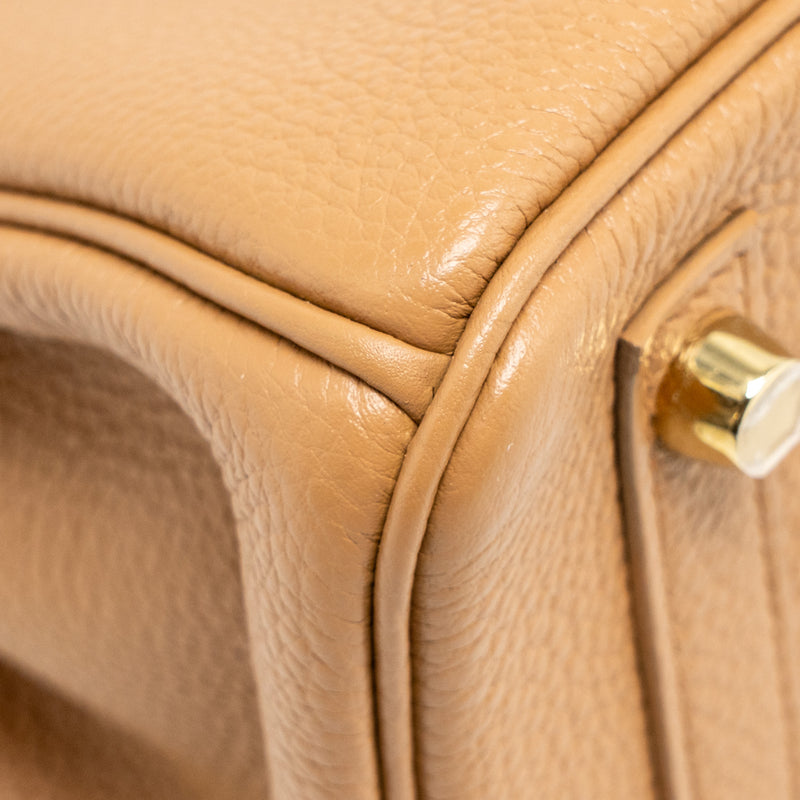 Hermes Birkin 25 Togo Biscuit GHW Stamp U