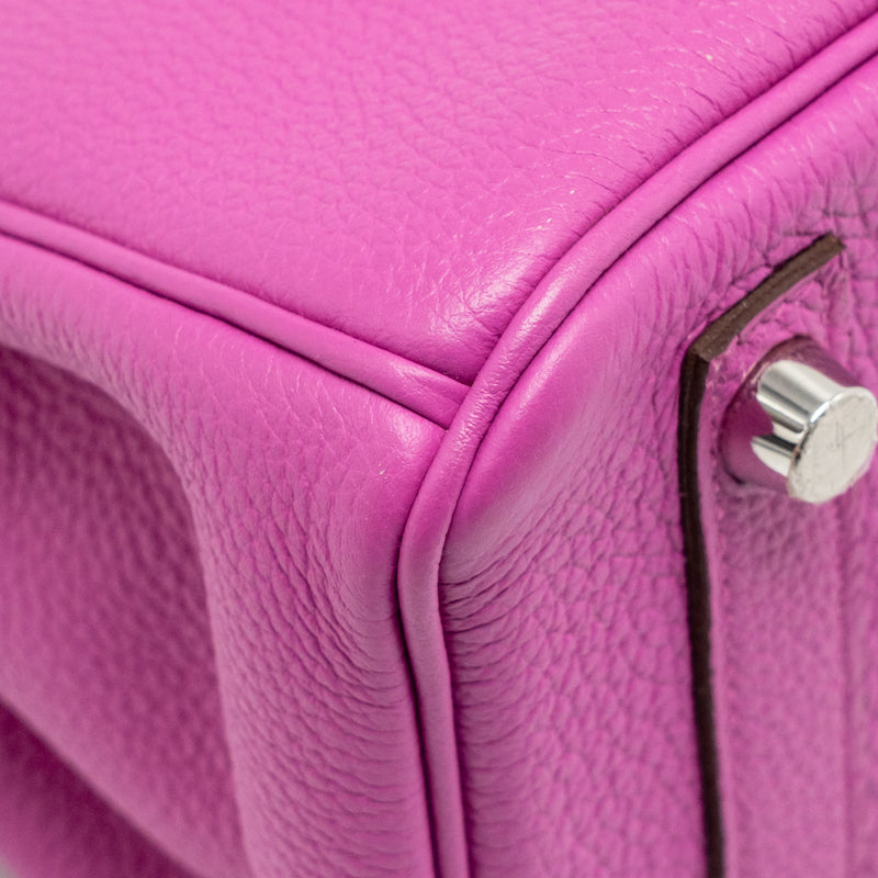 Hermes Birkin 25 Togo Magnolia SHW Stamp C