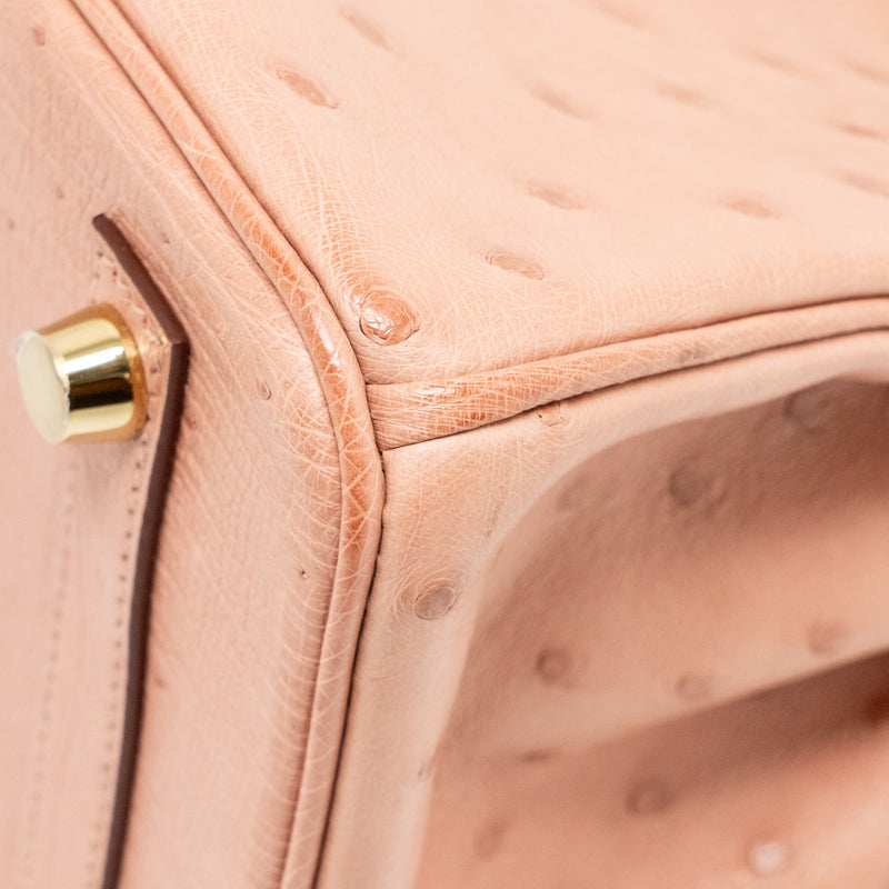 Hermes birkin 25 ostrich 94 Terre cutie GHW stamp B