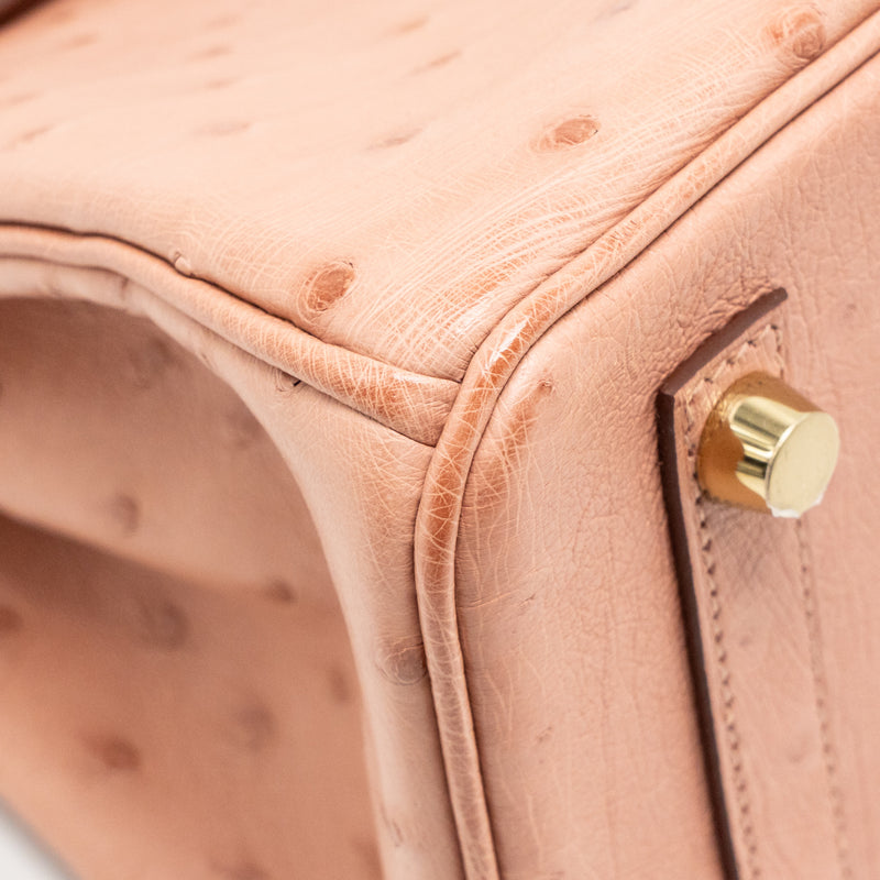 Hermes birkin 25 ostrich 94 Terre cutie GHW stamp B