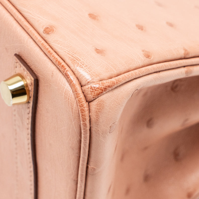 Hermes birkin 25 ostrich 94 Terre cutie GHW stamp B