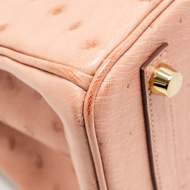 Hermes birkin 25 ostrich 94 Terre cutie GHW stamp B