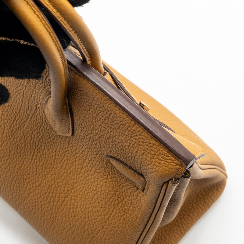Hermes Birkin 25 Togo Caramel/Lime SHW Stamp Y