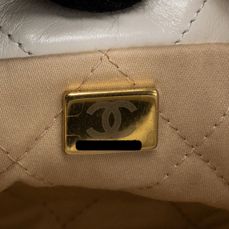 Chanel Mini 22 bag shiny calfskin white GHW (microchip)