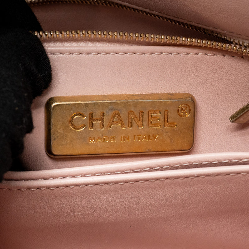 Chanel Small Coco Handle Python Light Pink GHW