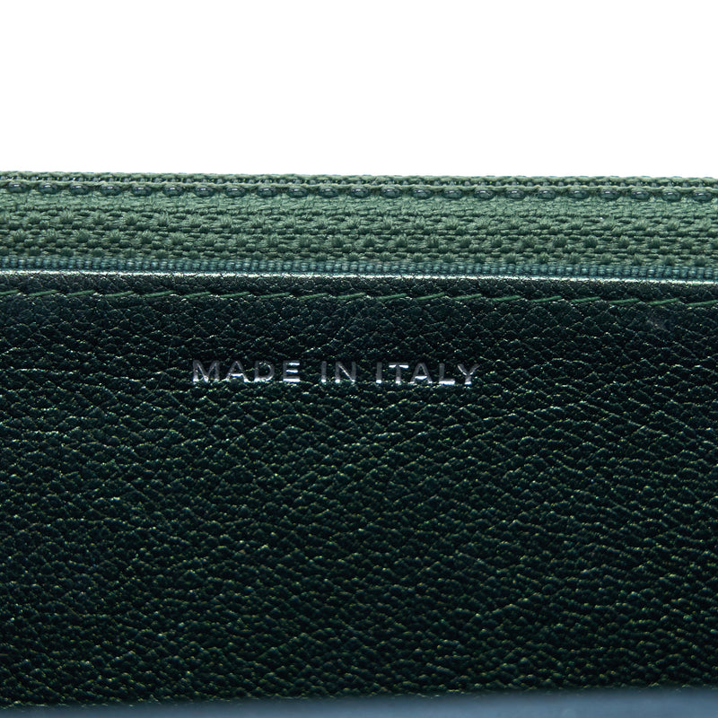 Chanel Classic Wallet on Chain Goatskin Iridescent Green Rainbow Hardware