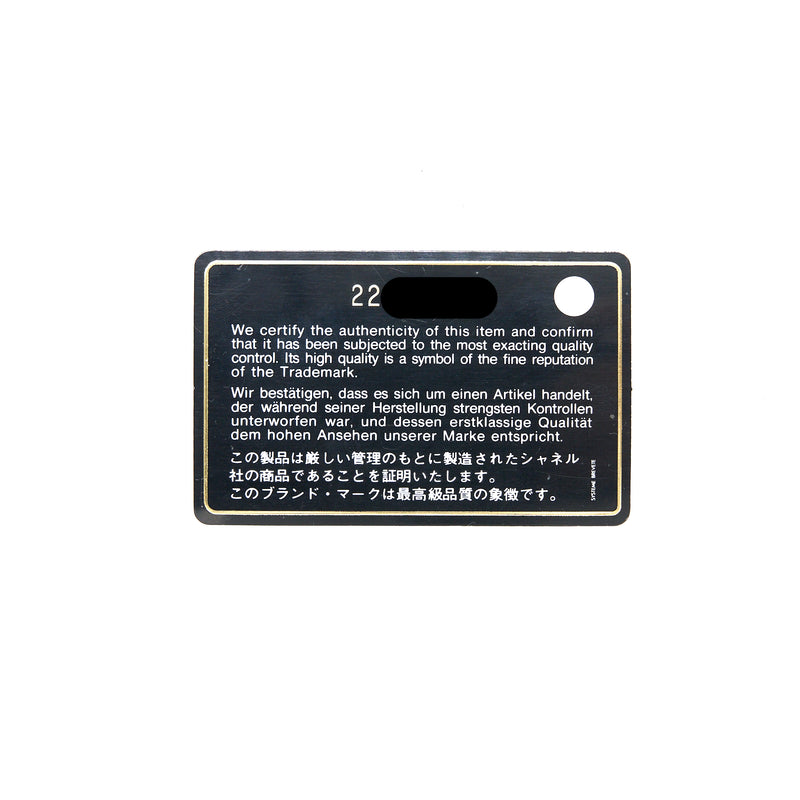Chanel Classic Wallet on Chain Goatskin Iridescent Green Rainbow Hardware