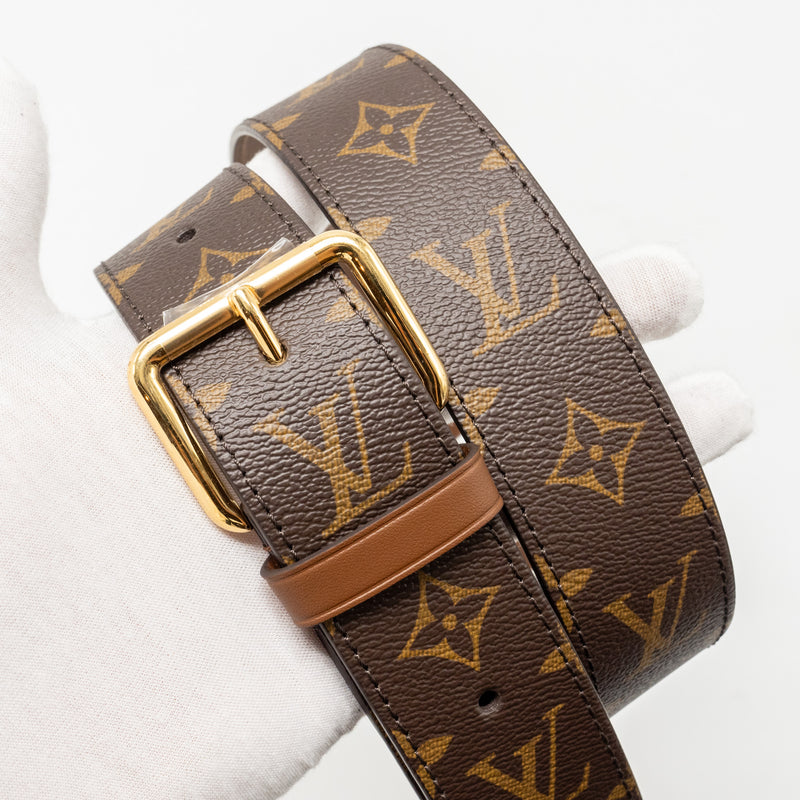 Louis Vuitton Papillon Trunk Monogram CANVAS GHW