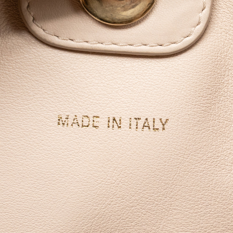 Dior Diorific tote bag Python leather black SHW