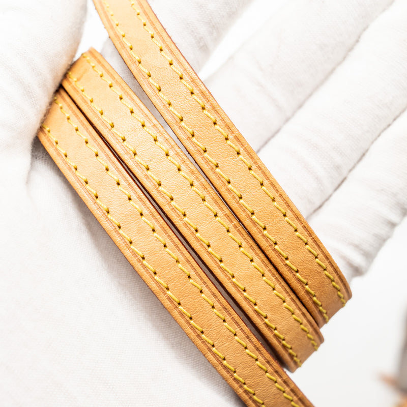 Louis Vuitton Nano Noe Monogram Canvas GHW
