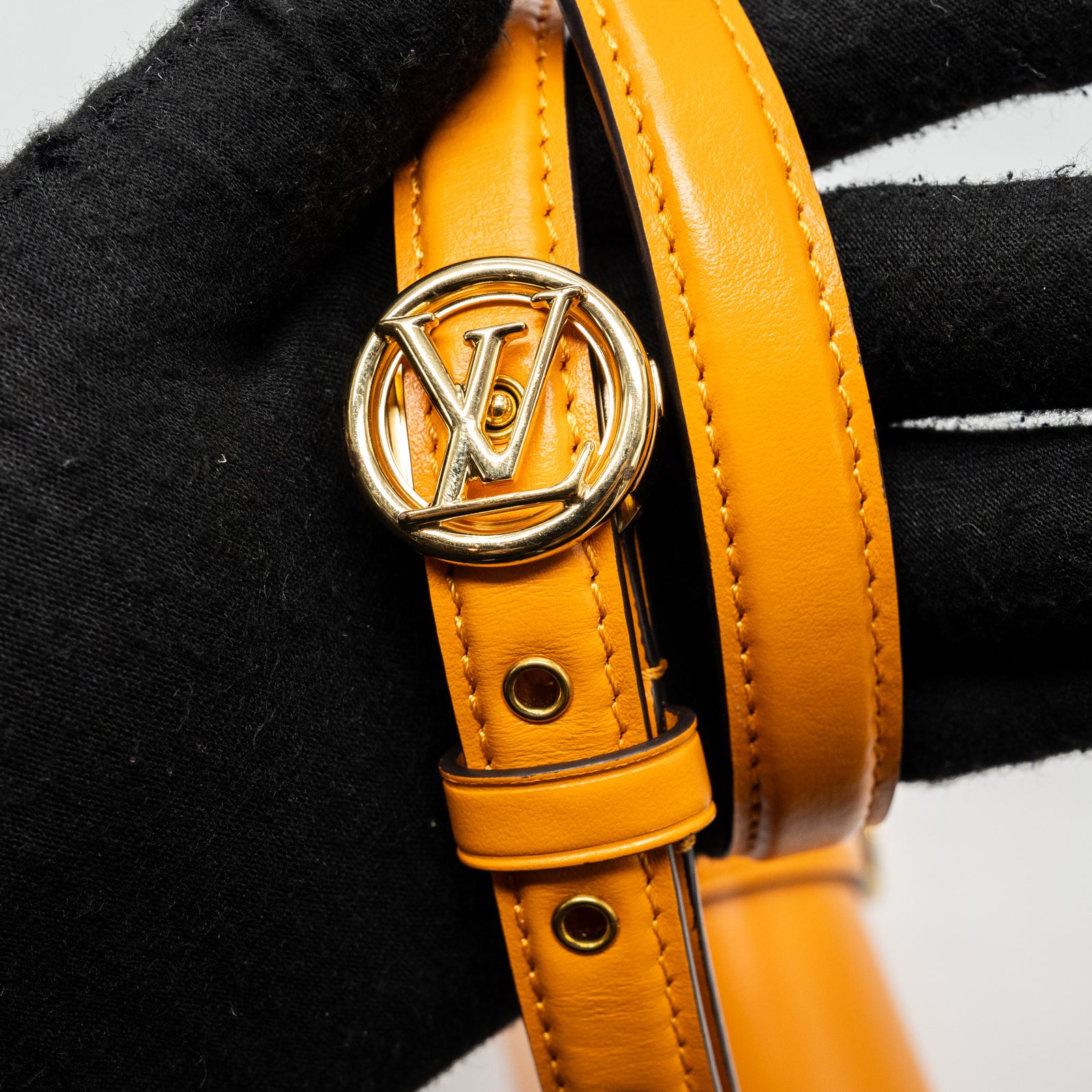 Louis Vuitton LV pont 9 calfskin summer gold GHW