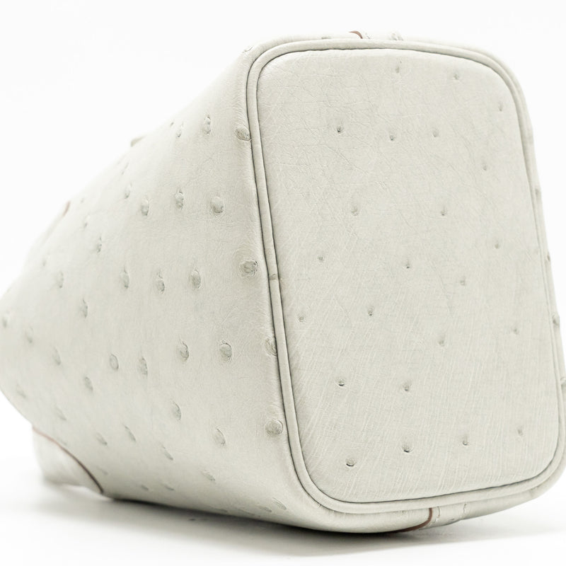 Hermes Micro Picotin 14 lock bag ostrich Gris Perle SHW stamp B