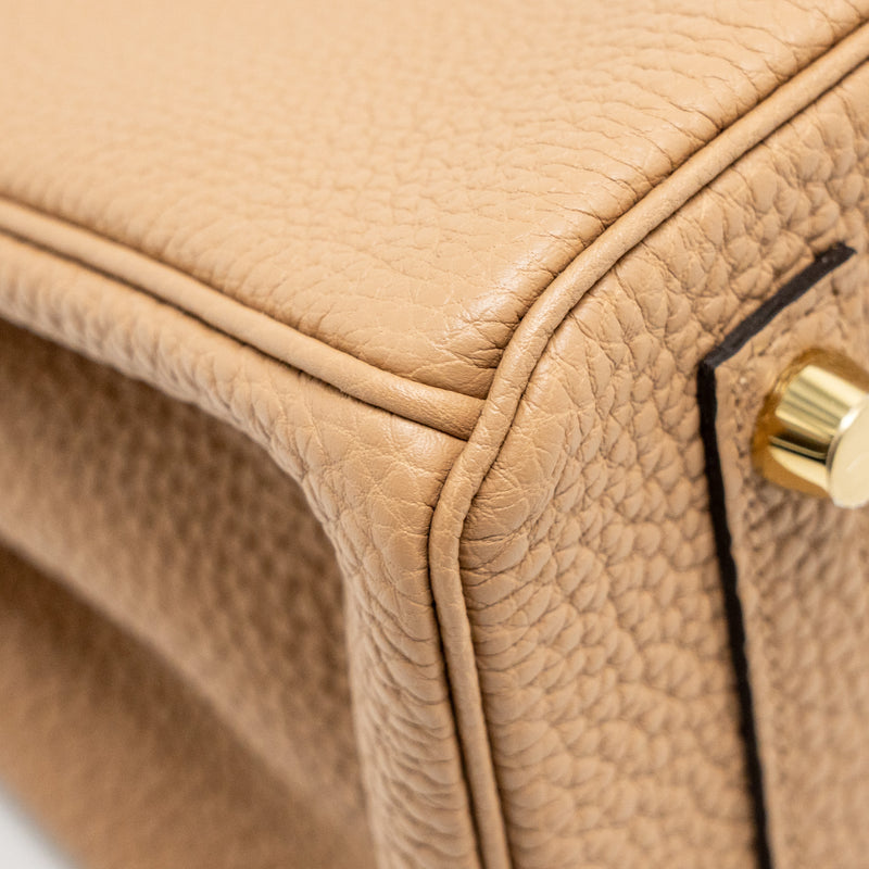 HERMES Birkin 25 Togo 0M Chai GHW Stamp U