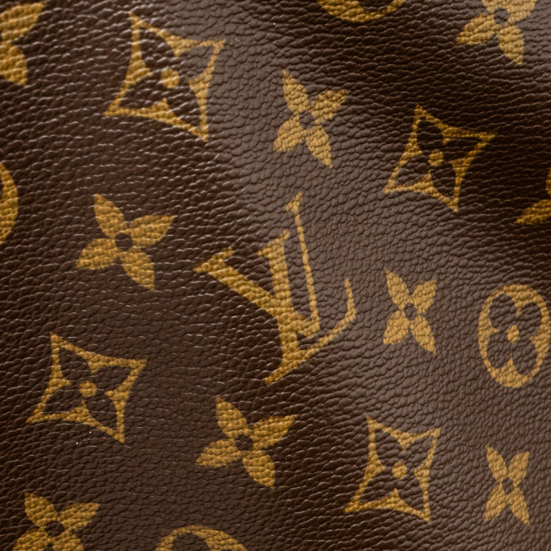 Louis Vuitton noe bucket bag monogram canvas GHW