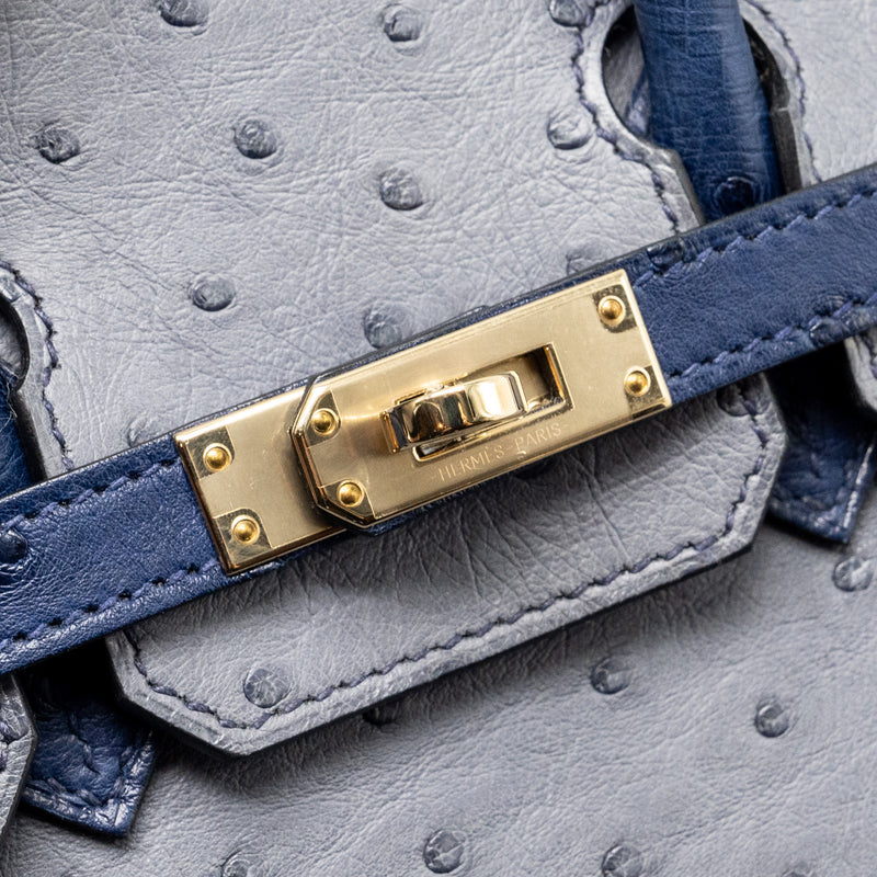 Hermes Birkin 25 Special Order Ostrich Gris Agate/Blue Iris LGHW Stamp D