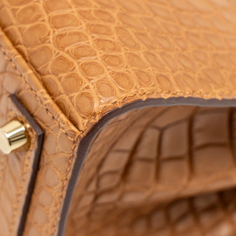 Hermes Birkin 20 Alligator Mississippiensis Mat Gold GHW Stamp B