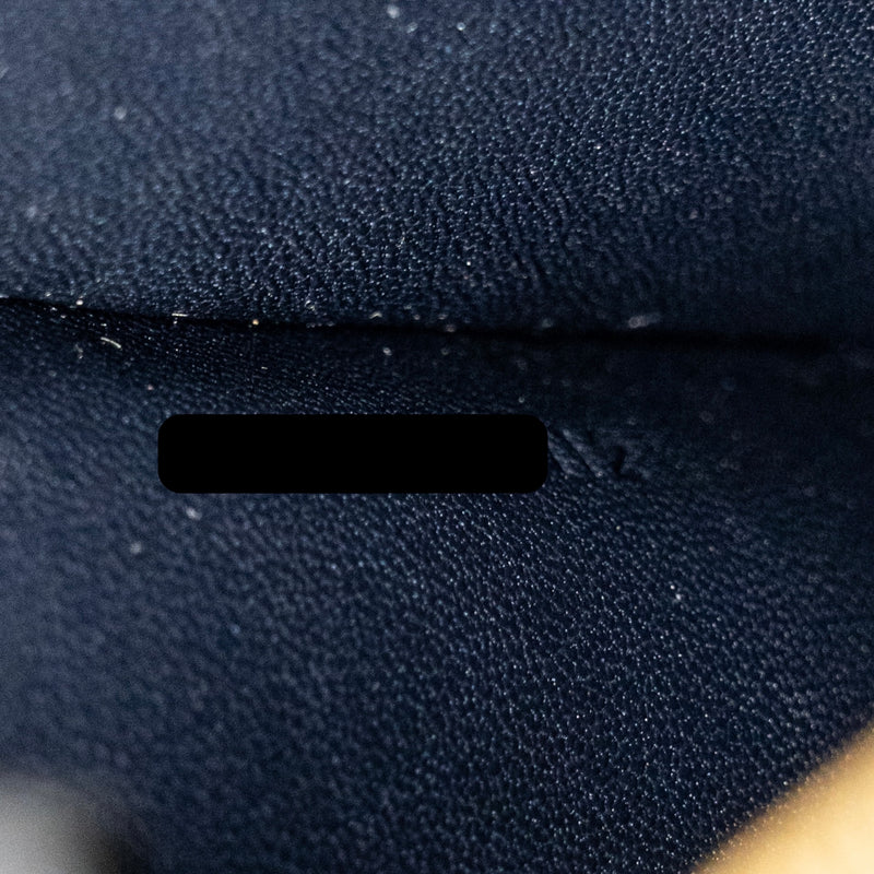 Celine medium classic box bag python navy GHW