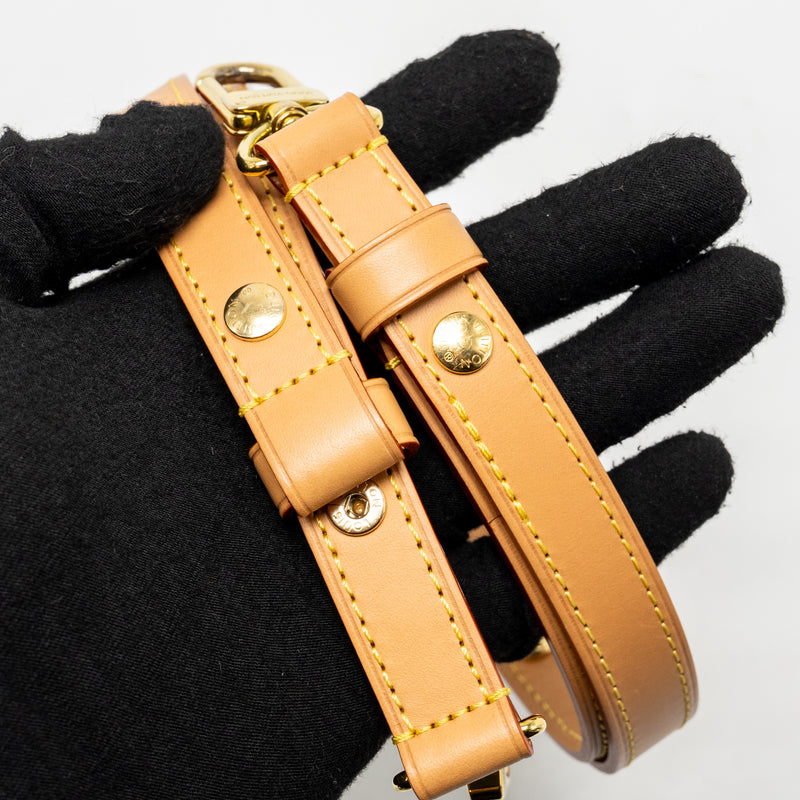 Louis Vuitton Loop Monogram Canvas GHW