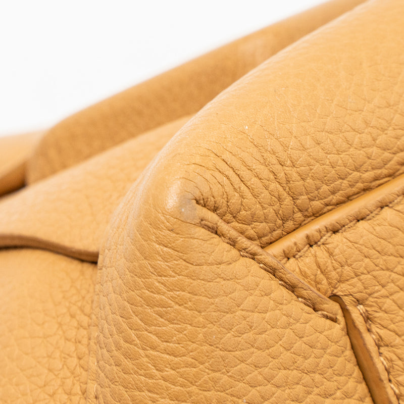 Bottega Veneta Small Arco Bag Calfskin Wood GHW
