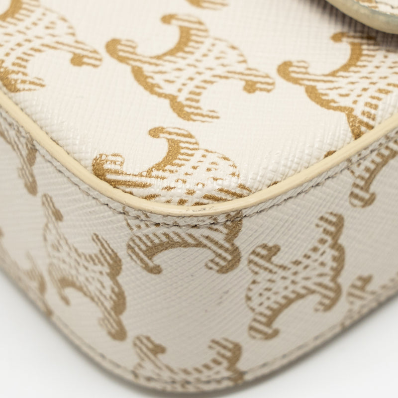 Celine Triomphe Shouder Bag Triomphe Canvas / Calfskin White GHW