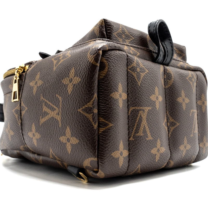 Louis Vuitton Palm Spring Mini Backpack monogram canvas