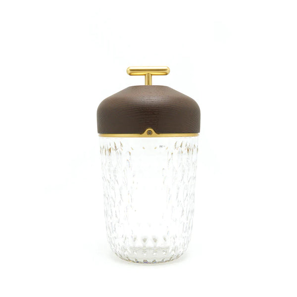 Hermes X Saint Louis Folia Portable Crystal Lamp Dark ASH GHW