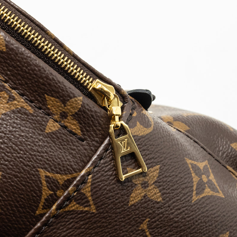 Louis Vuitton Palm Spring Mini Backpack monogram canvas