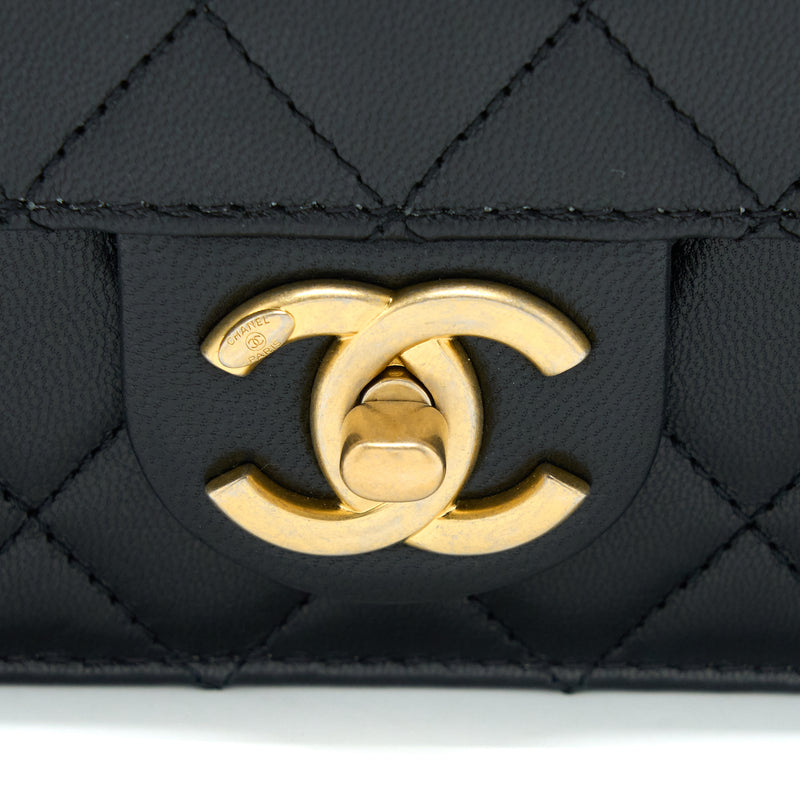 Chanel Beige Bag 