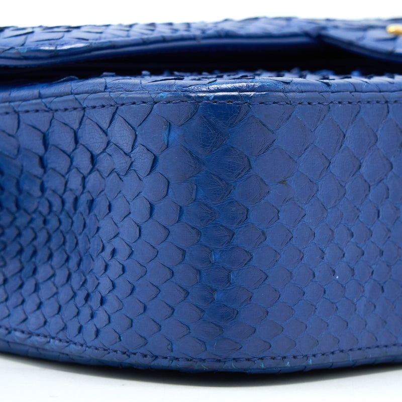 Chanel Medium Classic Double Flap Bag Python Blue GHW