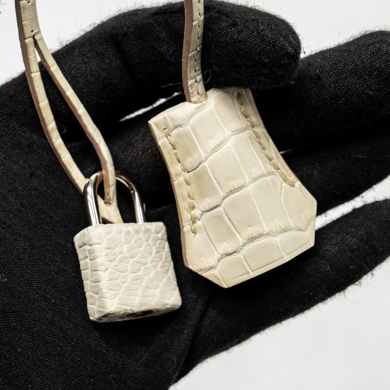 Hermes Birkin 25 Crocodile Porosus Beton SHW Stamp B