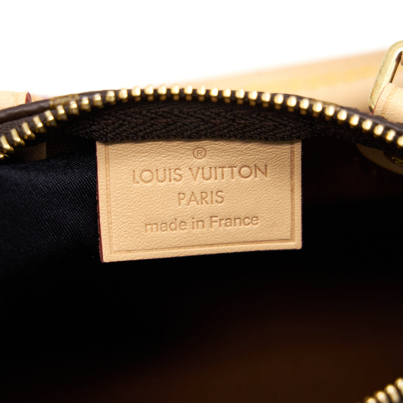 Louis Vuitton Speedy Nano LAxxxx